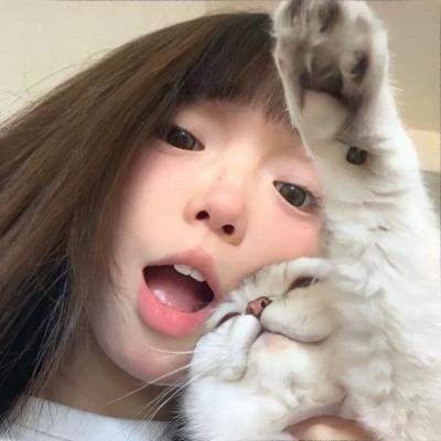 热铁皮屋顶上的猫